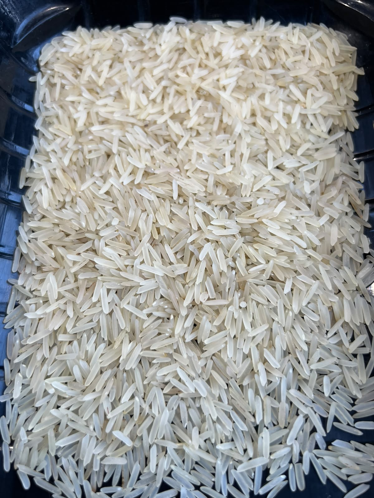 Elite Kernel Sella