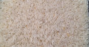 20250515_163929-1803x2048